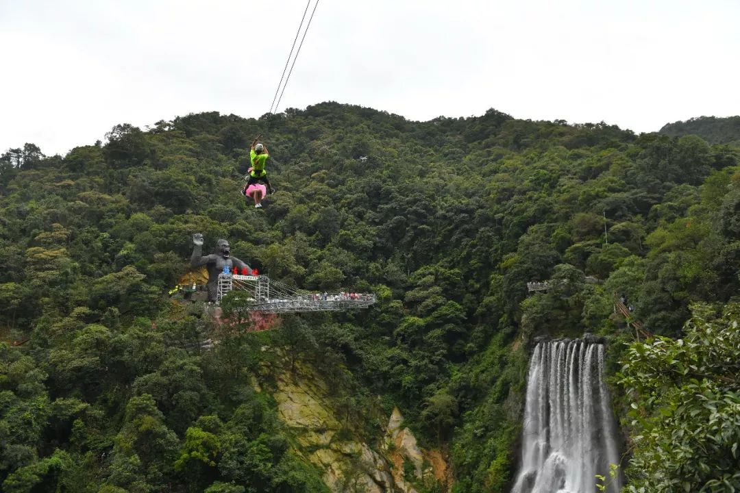 东莞男篮气吞山河，再接再厉